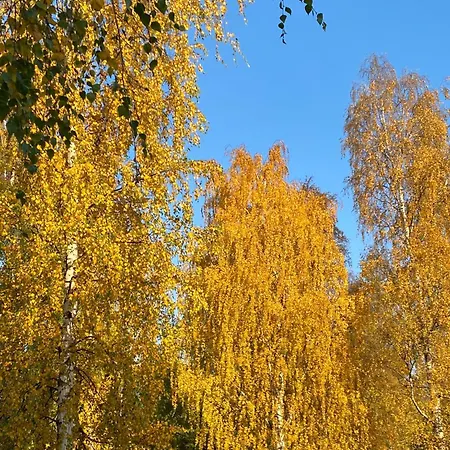 Apartman Taljatie Rovaniemi