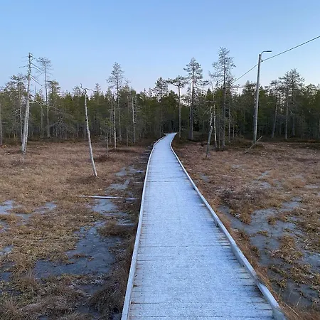 Taljatie Rovaniemi